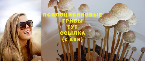 сатива Белоозёрский