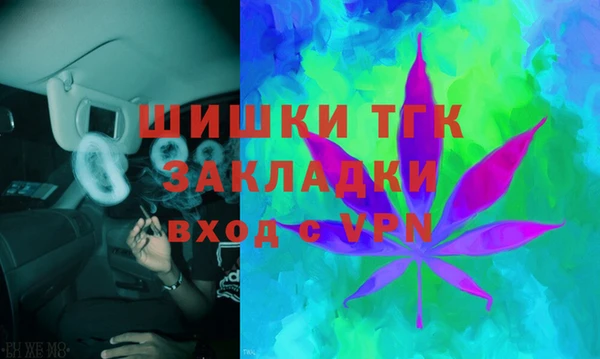 сатива Белоозёрский