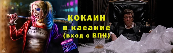 твердый Белокуриха