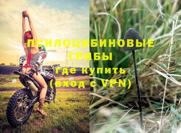 сатива Белоозёрский