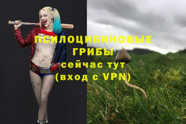 твердый Белокуриха