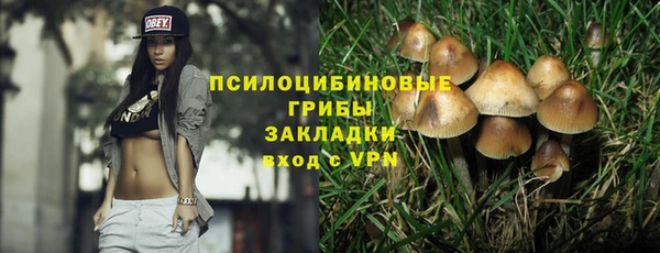 твердый Белокуриха