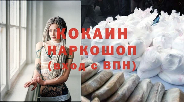 гашик Беломорск