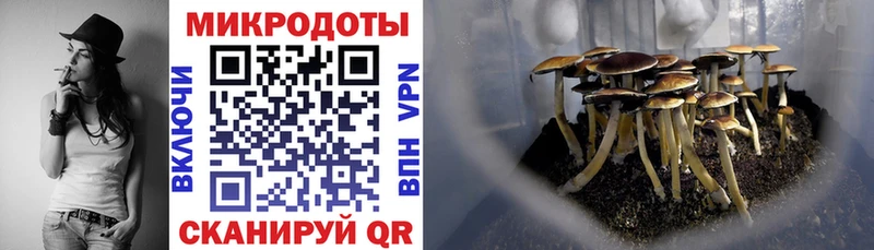 Галлюциногенные грибы мицелий  что такое   Покровск 