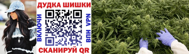 Бошки марихуана конопля закладка Покровск